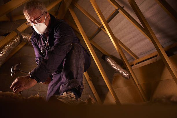 Best Specialized Insulation Services in Crystal Lawns, IL