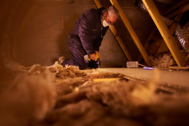 Best Eco-Friendly Insulation in Crystal Lawns, IL